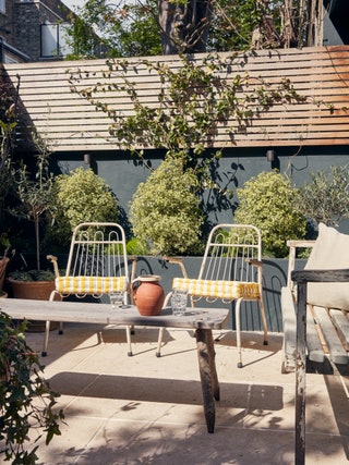 At Thea Speake's basement flat the small courtyard garden outside the openplan living area and Theas bedroom is a sun...