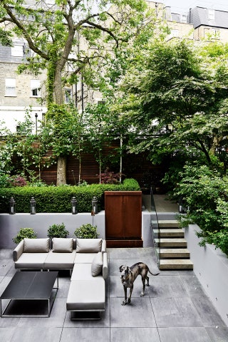 Image may contain Outdoors Garden Arbour Animal Dog Mammal Pet Canine and Patio
