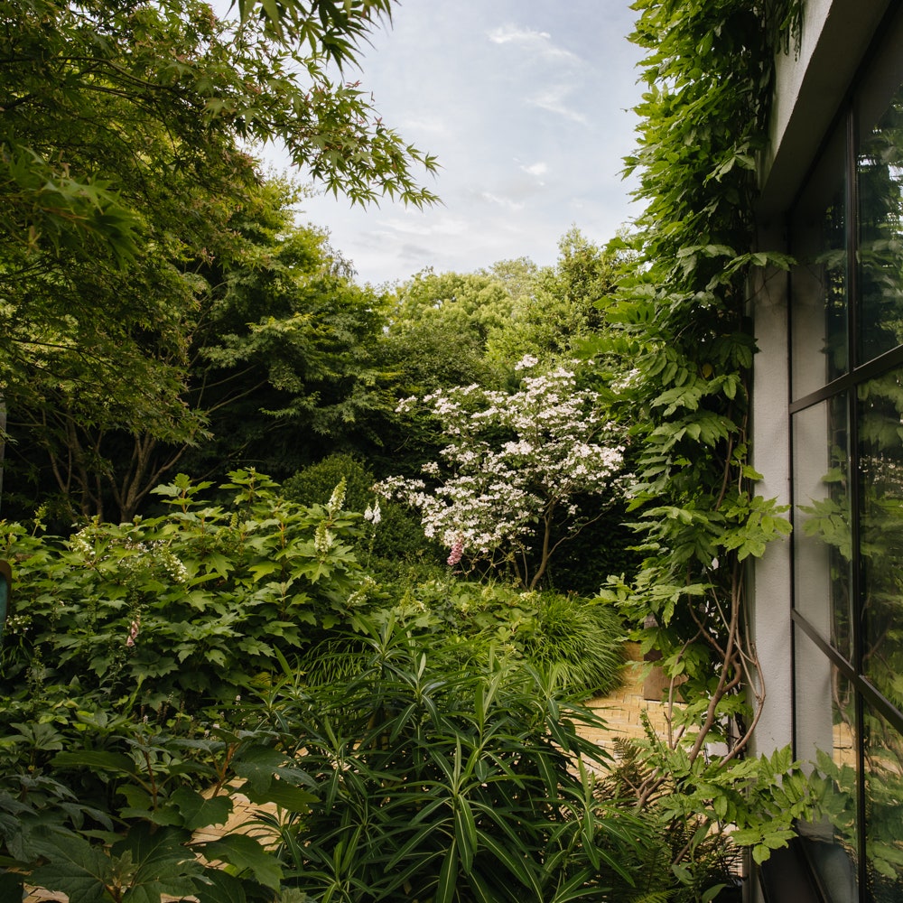 How do you stop a garden from looking too designed?