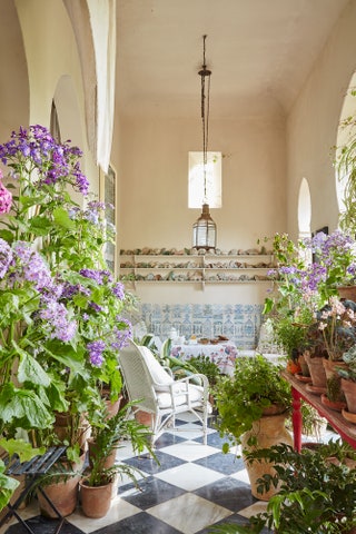 Image may contain Plant Furniture Chair Flower Blossom Outdoors Garden Vase Pottery Jar and Potted Plant
