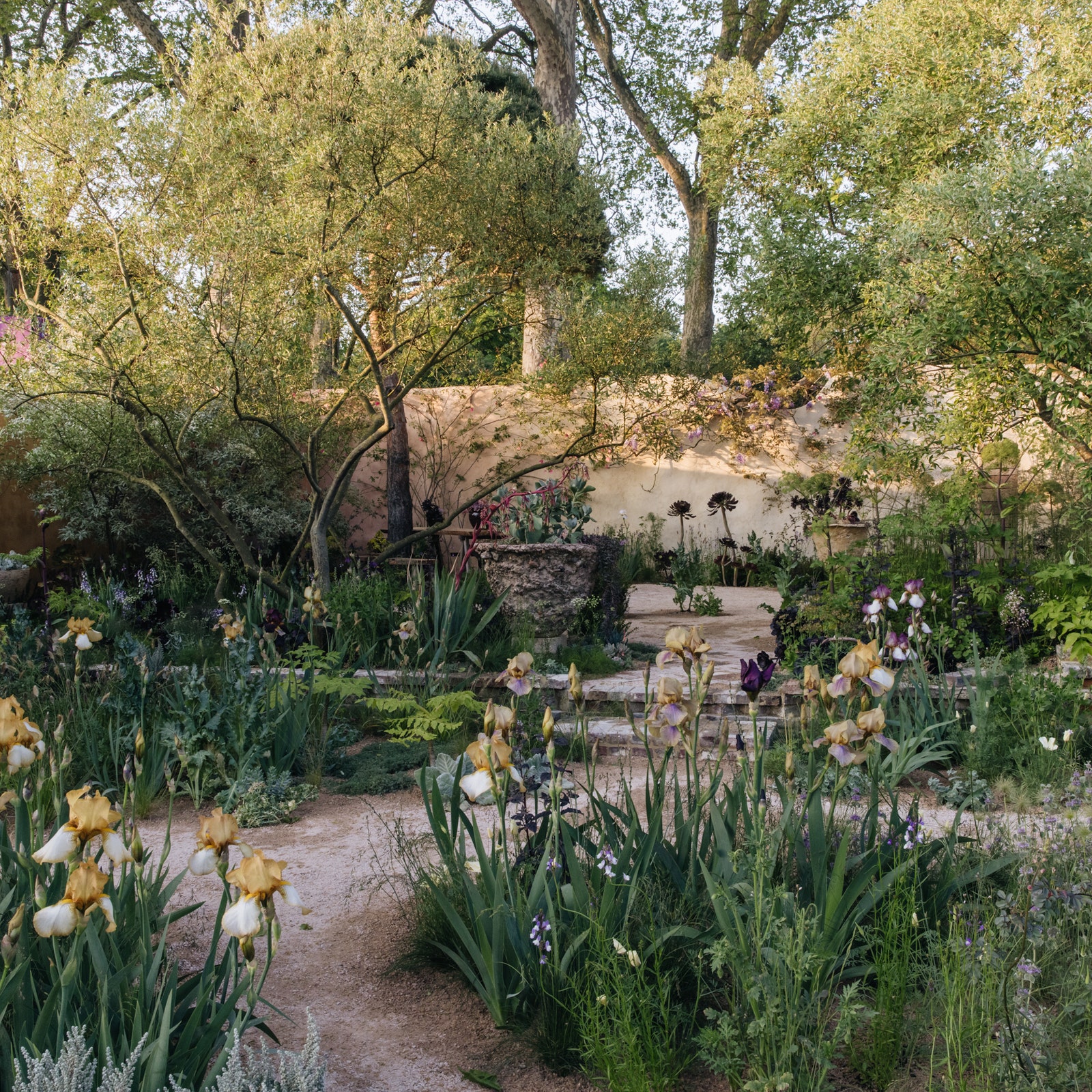 Our garden editor's highlights from the Chelsea Flower Show 2023