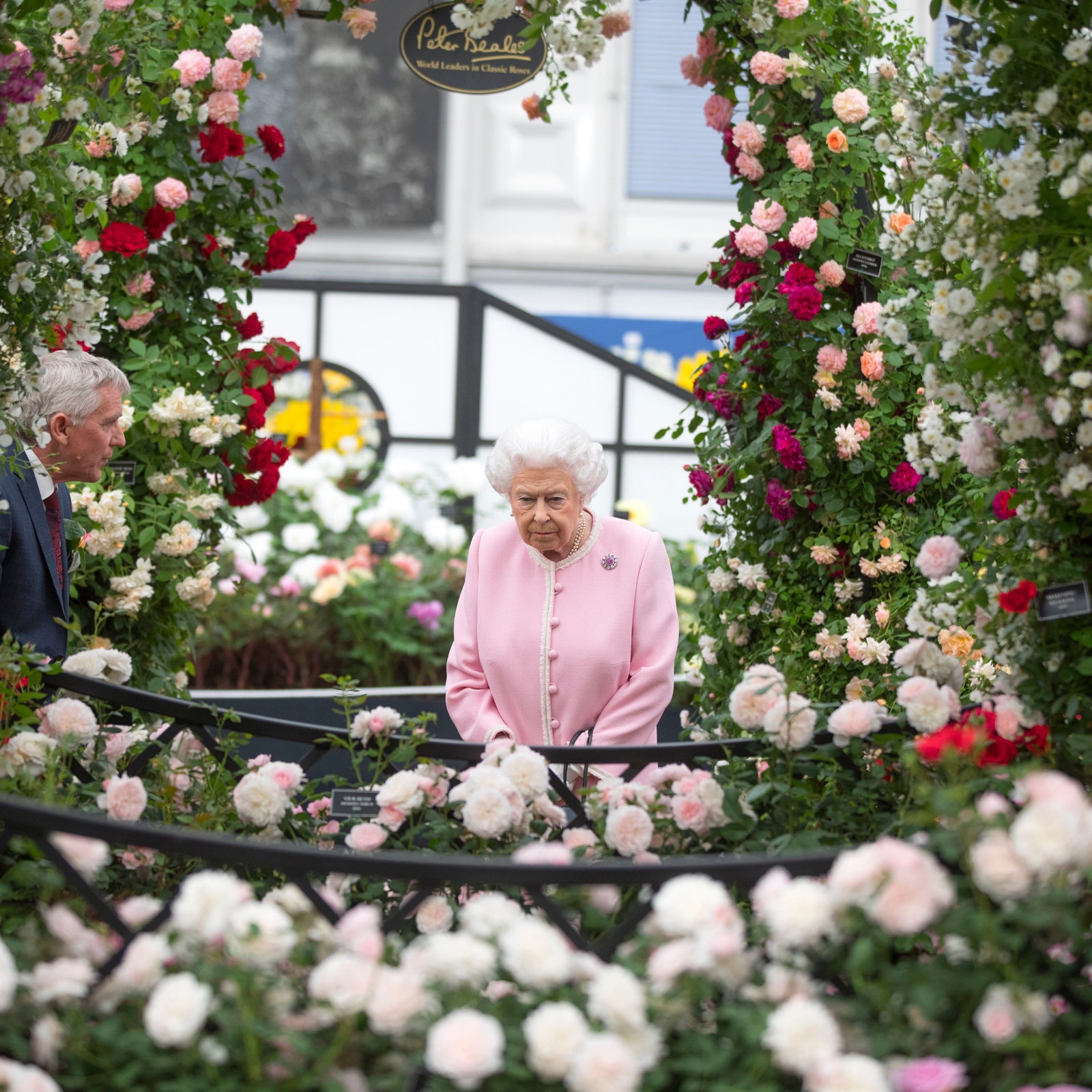 Looking back at the royal family's favourite flowers